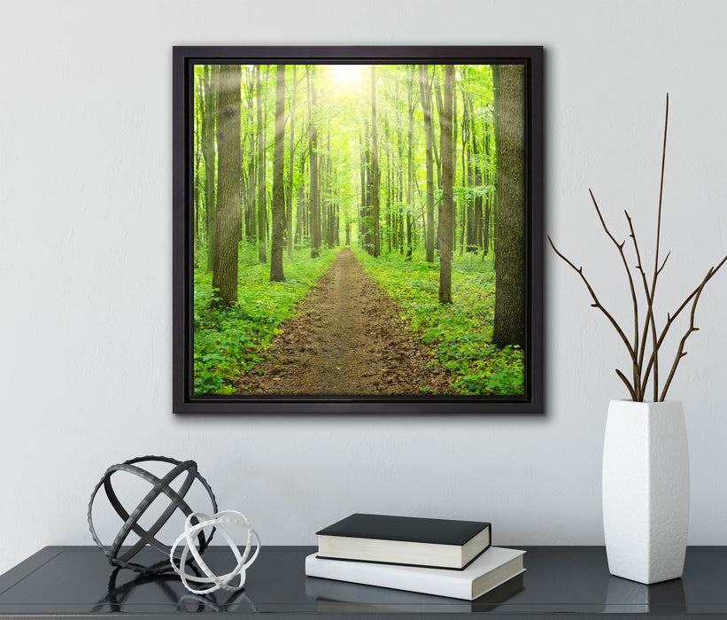 Sonne im Wald  auf Leinwandbild Quadratisch gerahmt mit Kirschblüten