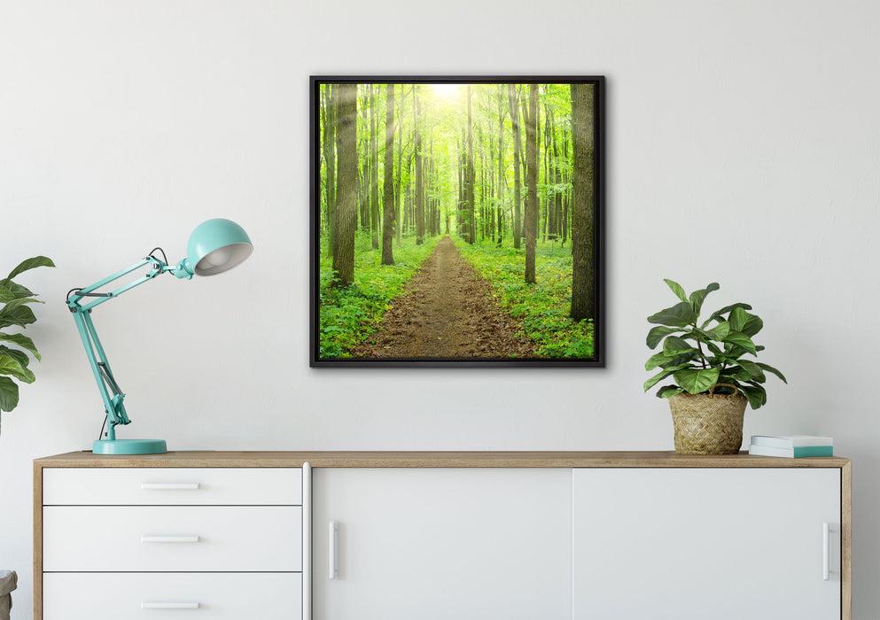Sonne im Wald auf Leinwandbild gerahmt Quadratisch verschiedene Größen im Wohnzimmer