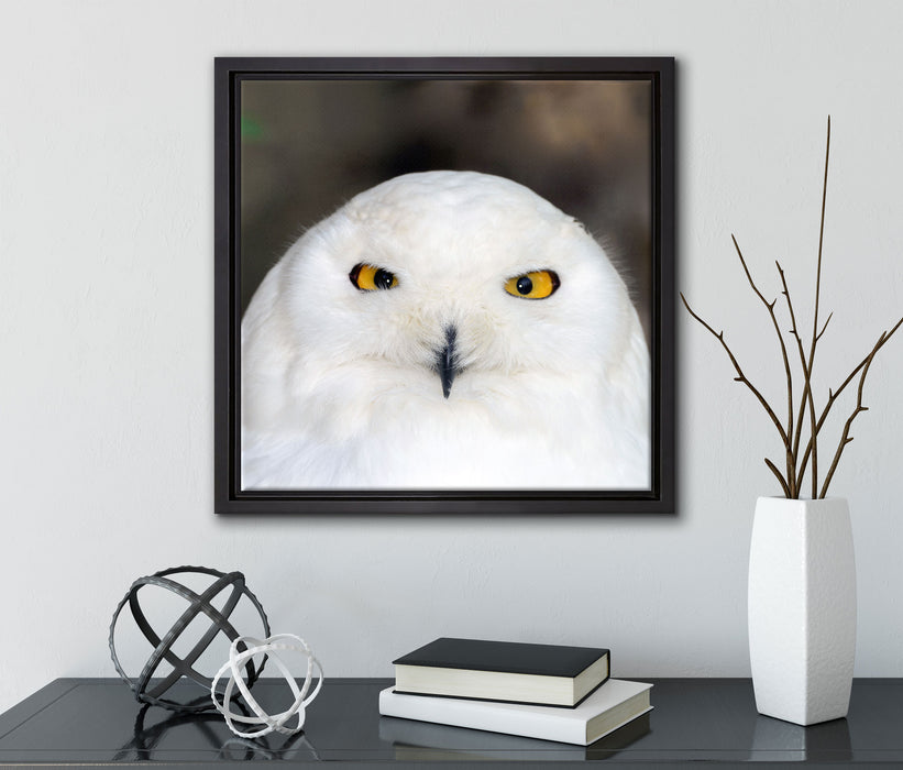 Prächtige schneeweiße Eule  auf Leinwandbild Quadratisch gerahmt mit Kirschblüten