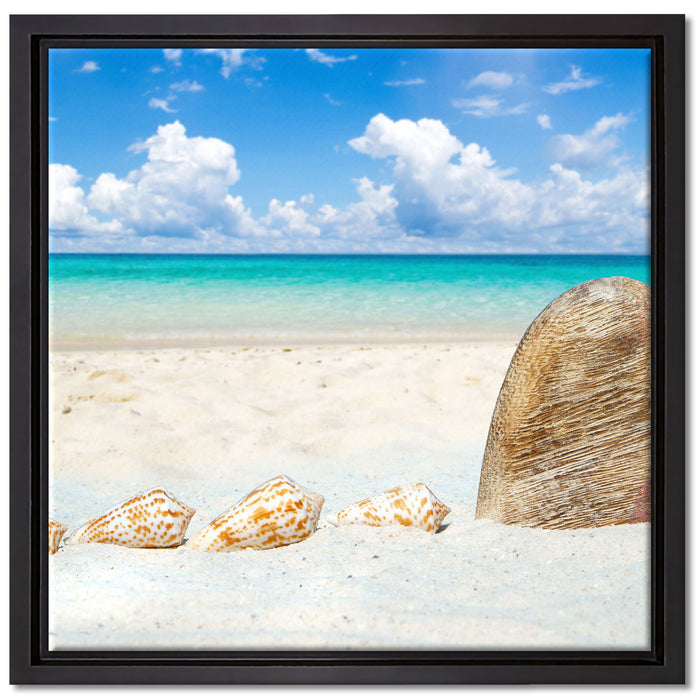 Sandstrand mit Muscheln auf Leinwandbild Quadratisch gerahmt Größe 40x40