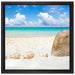 Sandstrand mit Muscheln auf Leinwandbild Quadratisch gerahmt Größe 40x40