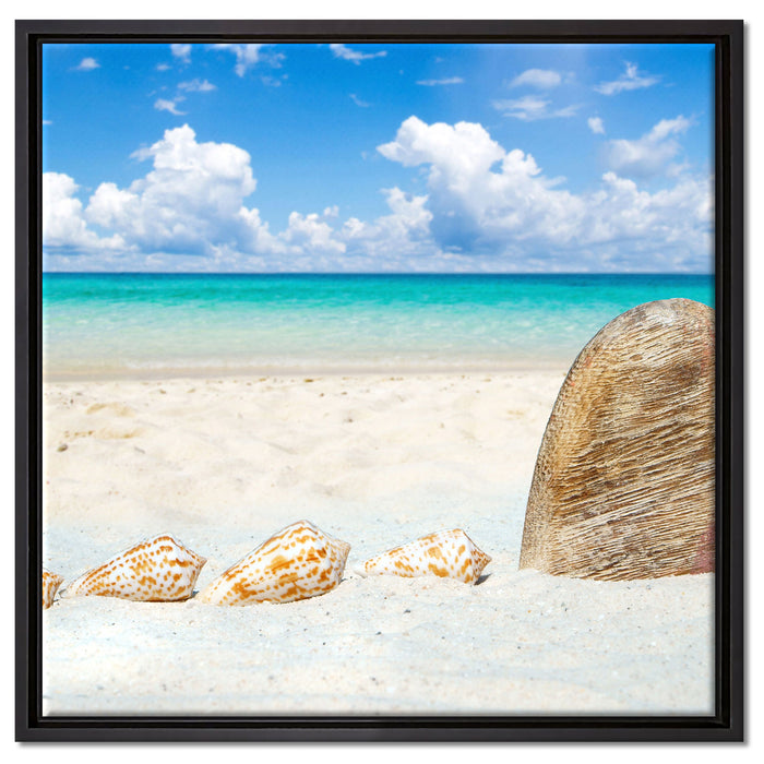 Sandstrand mit Muscheln auf Leinwandbild Quadratisch gerahmt Größe 60x60