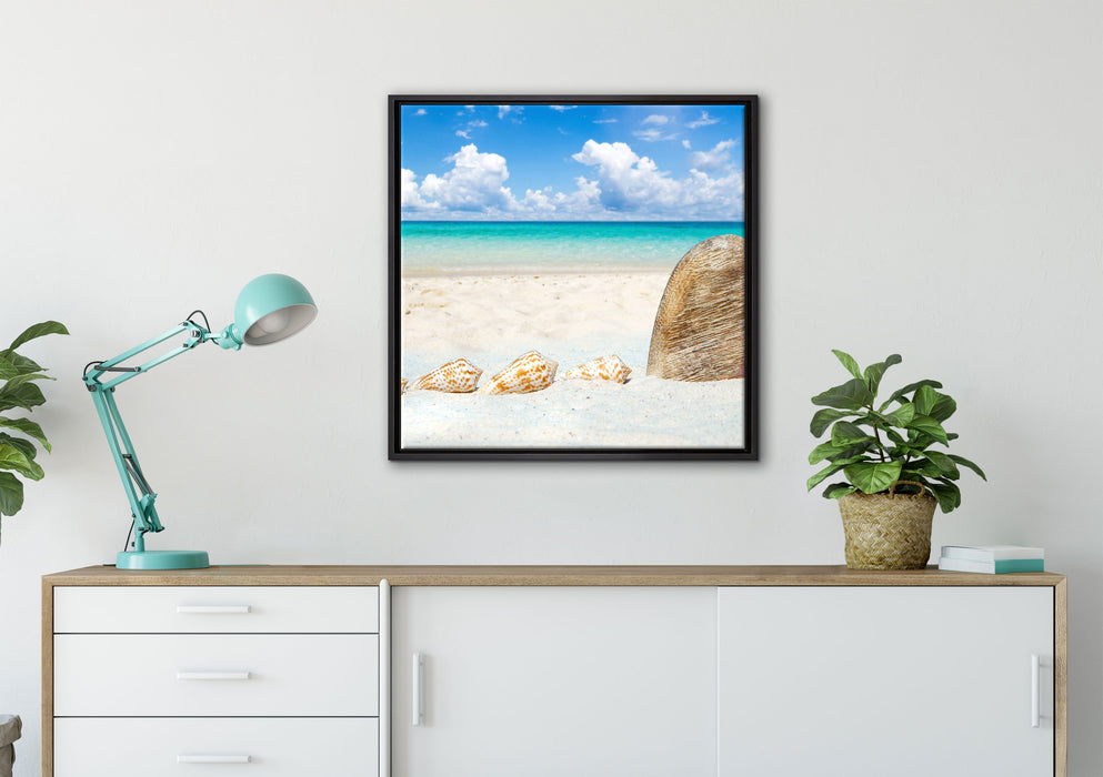 Sandstrand mit Muscheln auf Leinwandbild gerahmt Quadratisch verschiedene Größen im Wohnzimmer