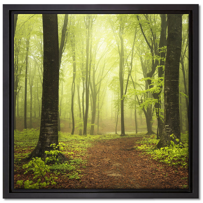 Weg im Wald auf Leinwandbild Quadratisch gerahmt Größe 40x40
