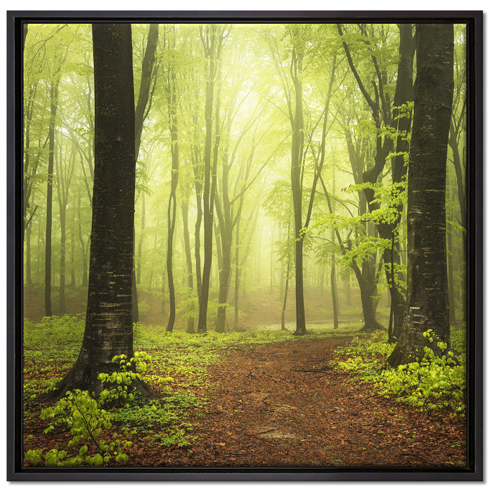 Weg im Wald auf Leinwandbild Quadratisch gerahmt Größe 70x70
