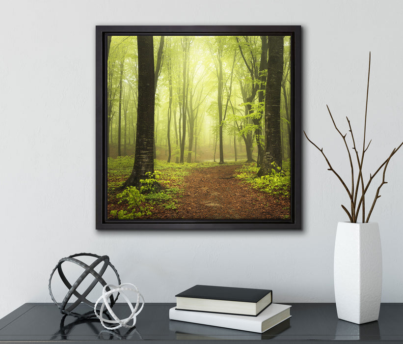 Weg im Wald  auf Leinwandbild Quadratisch gerahmt mit Kirschblüten