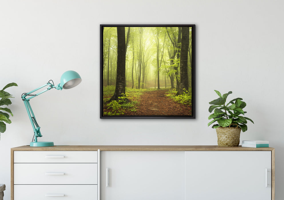 Weg im Wald auf Leinwandbild gerahmt Quadratisch verschiedene Größen im Wohnzimmer