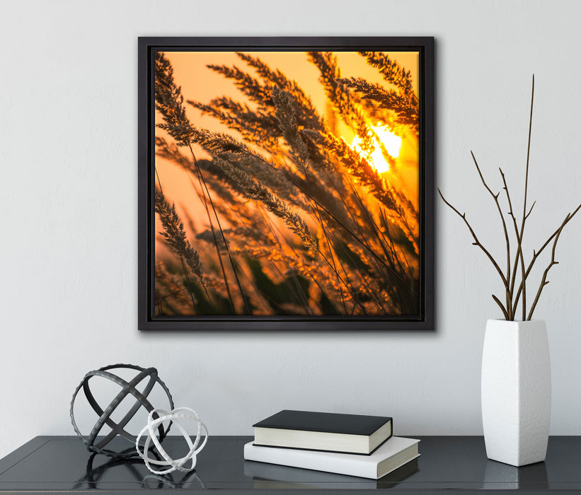 Schilf  auf Leinwandbild Quadratisch gerahmt mit Kirschblüten