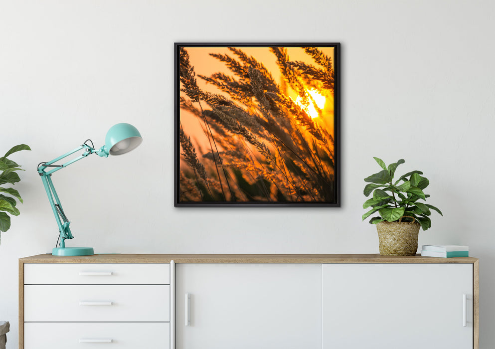 Schilf auf Leinwandbild gerahmt Quadratisch verschiedene Größen im Wohnzimmer