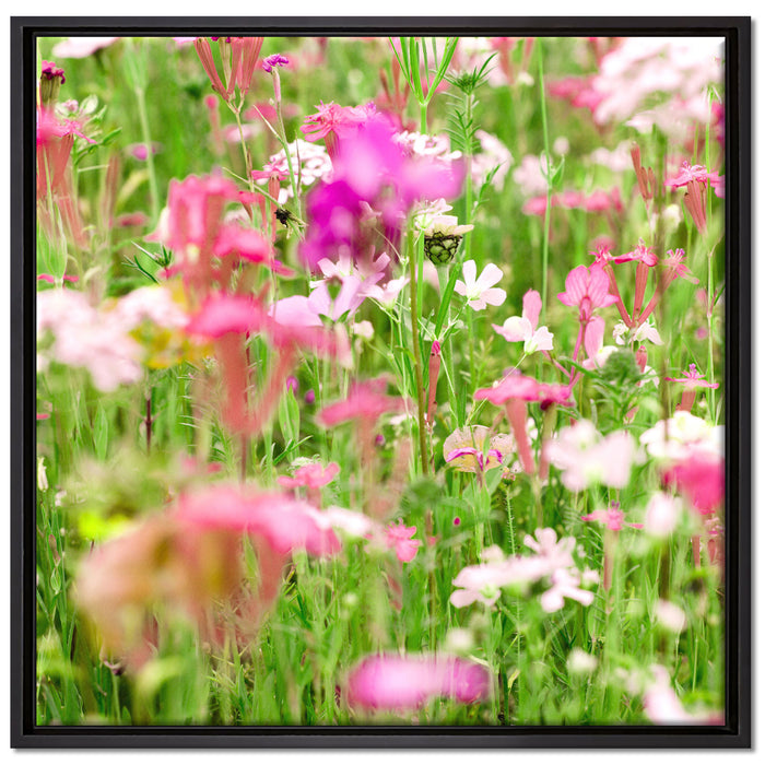 Wundervolle Blumenwiese auf Leinwandbild Quadratisch gerahmt Größe 70x70