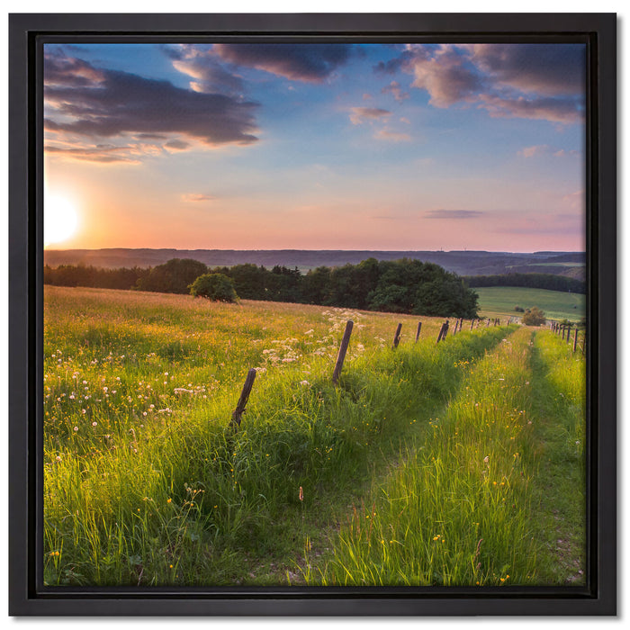 Bergwiese im Sonnenaufgang auf Leinwandbild Quadratisch gerahmt Größe 40x40