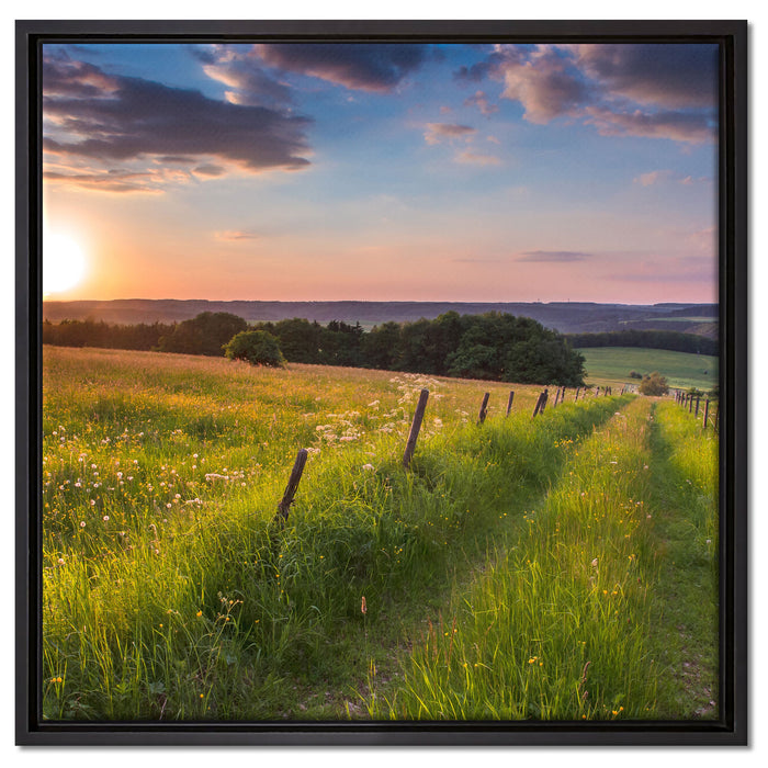 Bergwiese im Sonnenaufgang auf Leinwandbild Quadratisch gerahmt Größe 60x60
