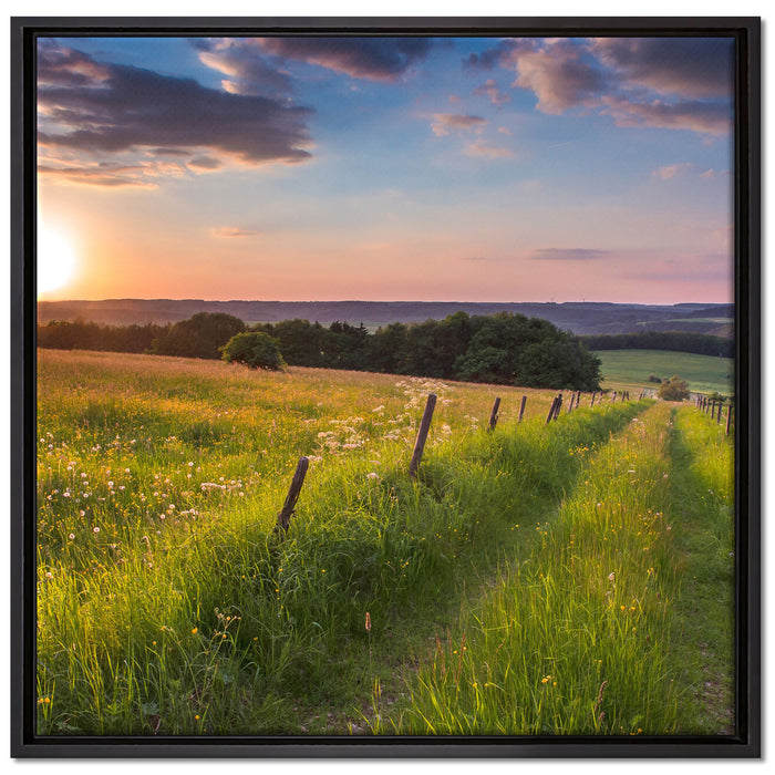 Bergwiese im Sonnenaufgang auf Leinwandbild Quadratisch gerahmt Größe 70x70