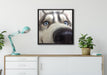 Glücklicher Husky auf Leinwandbild gerahmt Quadratisch verschiedene Größen im Wohnzimmer