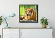 Tiger auf einem Stein auf Leinwandbild gerahmt Quadratisch verschiedene Größen im Wohnzimmer