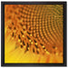 Wunderschöne gelbe Sonnenblume auf Leinwandbild Quadratisch gerahmt Größe 40x40