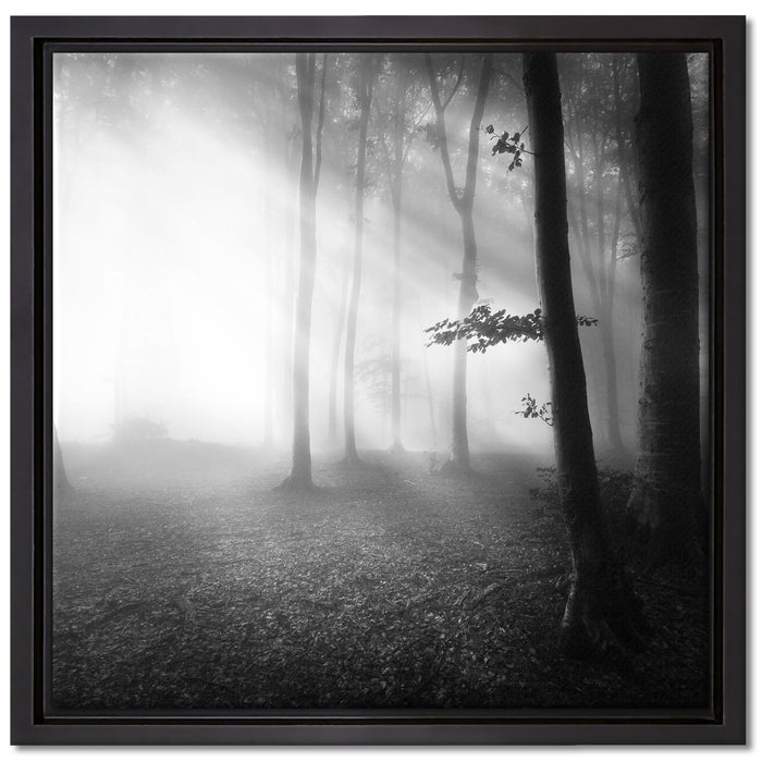 Düsterer Wald im Nebel auf Leinwandbild Quadratisch gerahmt Größe 40x40