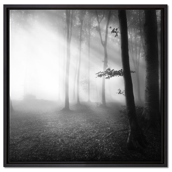 Düsterer Wald im Nebel auf Leinwandbild Quadratisch gerahmt Größe 60x60