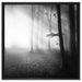 Düsterer Wald im Nebel auf Leinwandbild Quadratisch gerahmt Größe 60x60