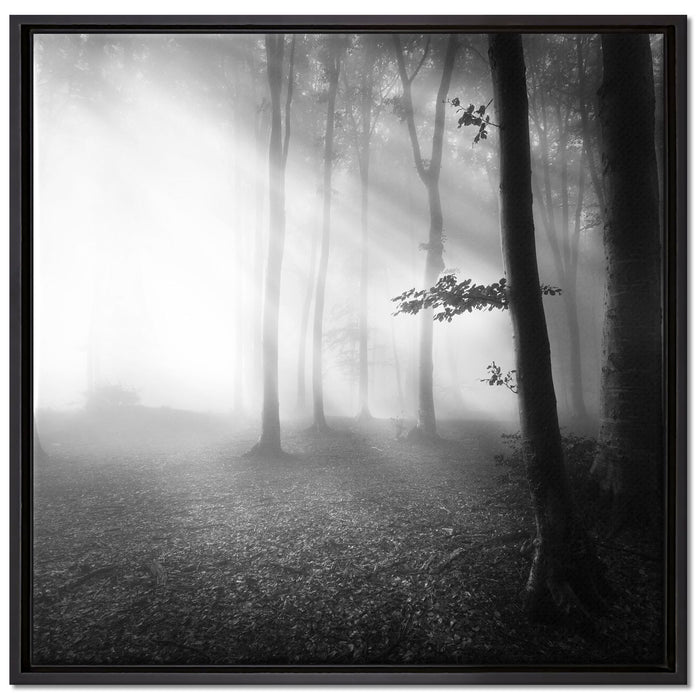 Düsterer Wald im Nebel auf Leinwandbild Quadratisch gerahmt Größe 70x70
