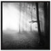 Düsterer Wald im Nebel auf Leinwandbild Quadratisch gerahmt Größe 70x70