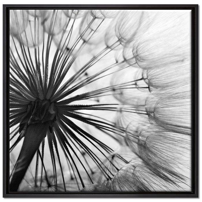 Schöne Pusteblume auf Leinwandbild Quadratisch gerahmt Größe 70x70