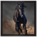 Elegantes schwarzes Pferd auf Leinwandbild Quadratisch gerahmt Größe 40x40