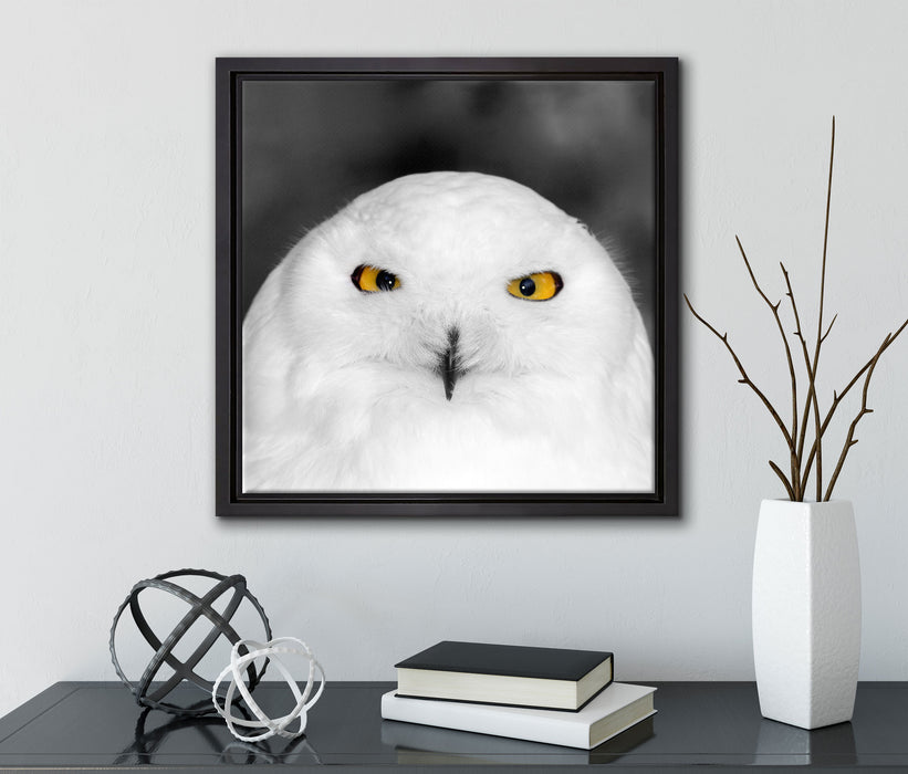 Prächtige schneeweiße Eule  auf Leinwandbild Quadratisch gerahmt mit Kirschblüten