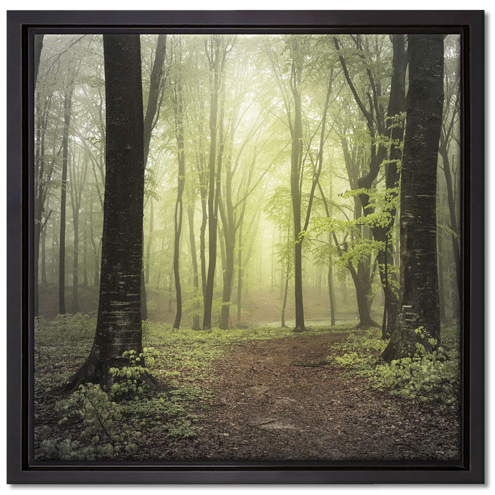 Weg im Wald auf Leinwandbild Quadratisch gerahmt Größe 40x40