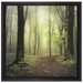 Weg im Wald auf Leinwandbild Quadratisch gerahmt Größe 40x40