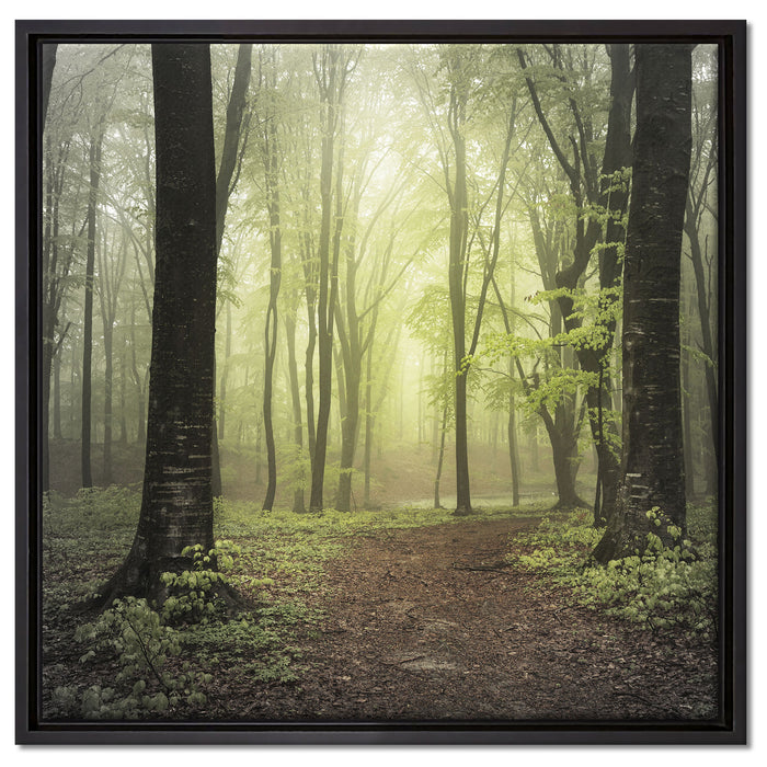 Weg im Wald auf Leinwandbild Quadratisch gerahmt Größe 60x60