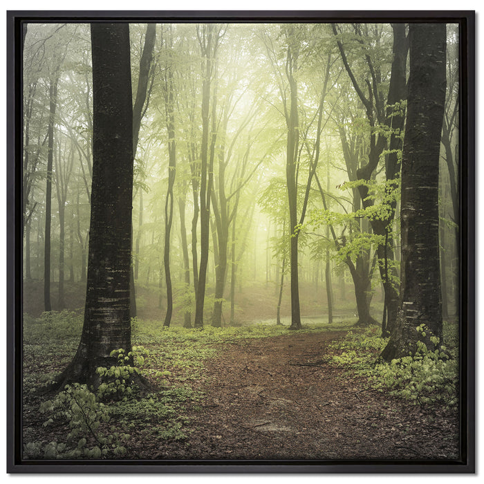 Weg im Wald auf Leinwandbild Quadratisch gerahmt Größe 70x70