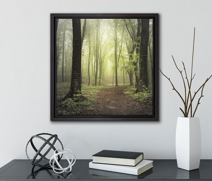 Weg im Wald  auf Leinwandbild Quadratisch gerahmt mit Kirschblüten
