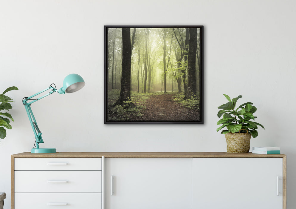 Weg im Wald auf Leinwandbild gerahmt Quadratisch verschiedene Größen im Wohnzimmer