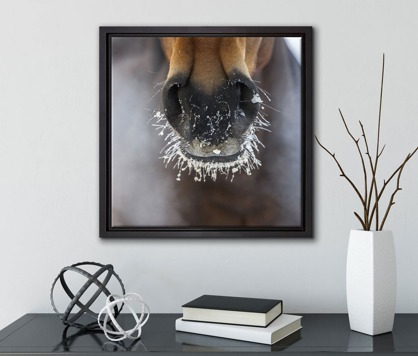 Pferdeschnauze  auf Leinwandbild Quadratisch gerahmt mit Kirschblüten