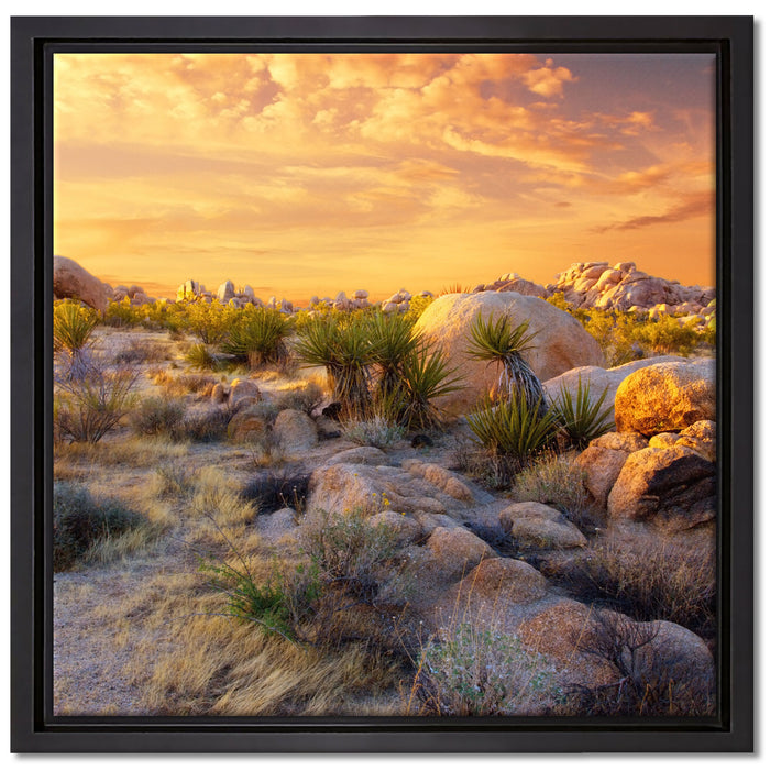 Joshua Wüste im Sonnenuntergang auf Leinwandbild Quadratisch gerahmt Größe 40x40