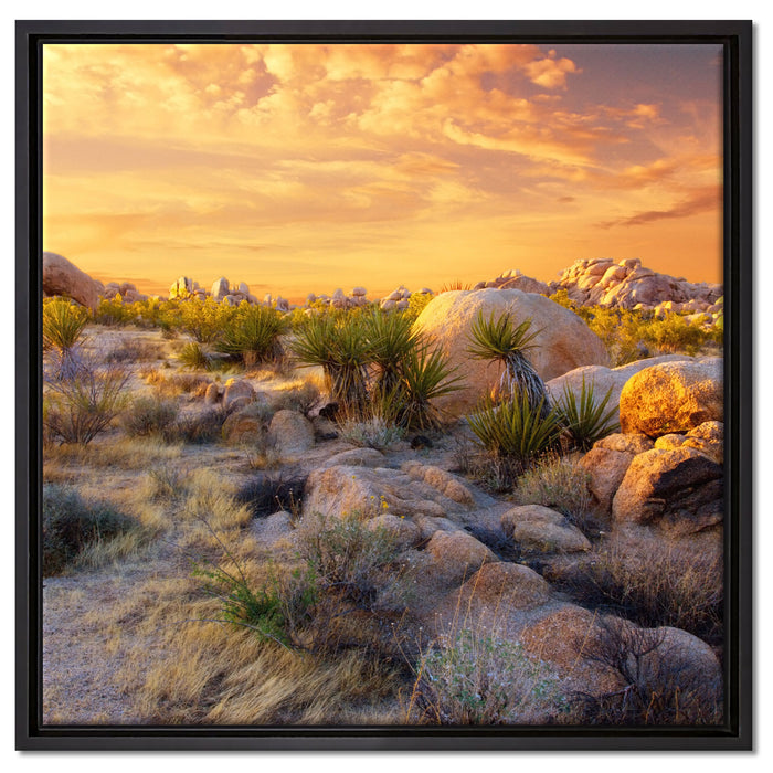 Joshua Wüste im Sonnenuntergang auf Leinwandbild Quadratisch gerahmt Größe 60x60