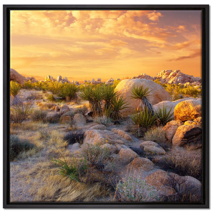 Joshua Wüste im Sonnenuntergang auf Leinwandbild Quadratisch gerahmt Größe 70x70