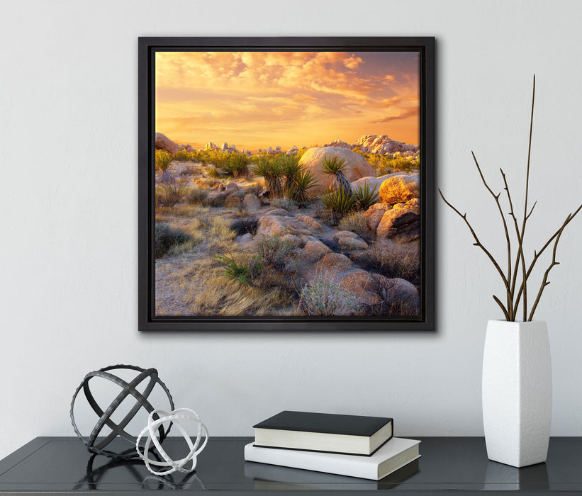 Joshua Wüste im Sonnenuntergang  auf Leinwandbild Quadratisch gerahmt mit Kirschblüten