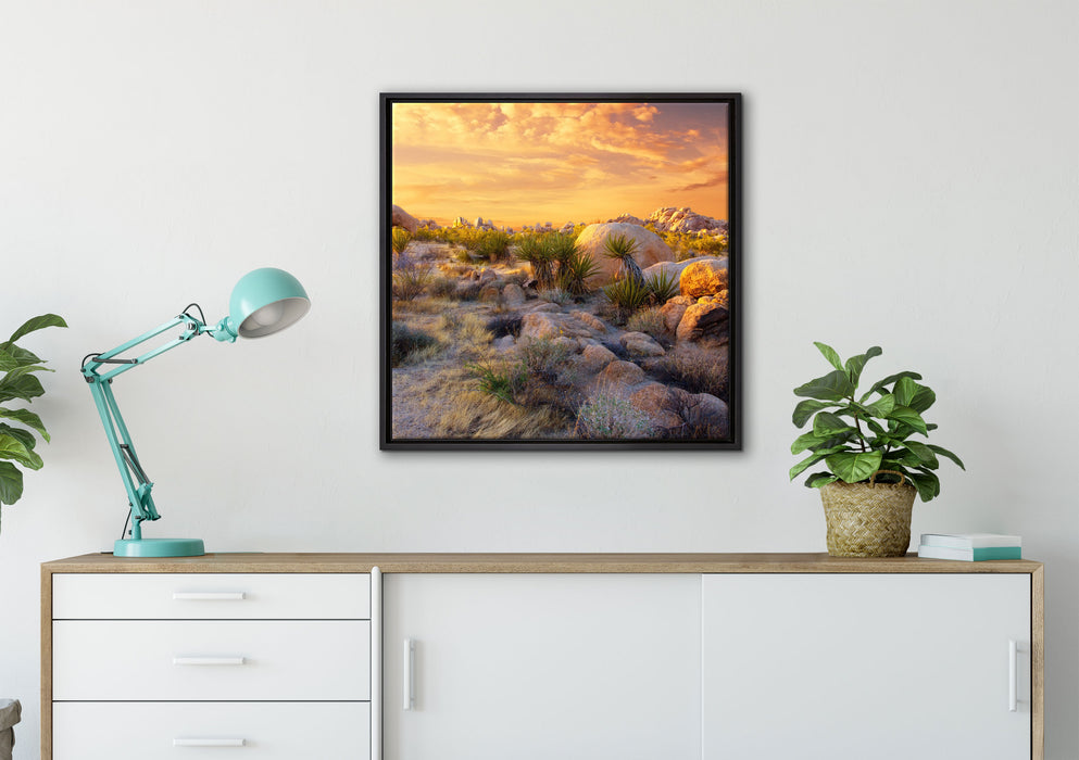 Joshua Wüste im Sonnenuntergang auf Leinwandbild gerahmt Quadratisch verschiedene Größen im Wohnzimmer