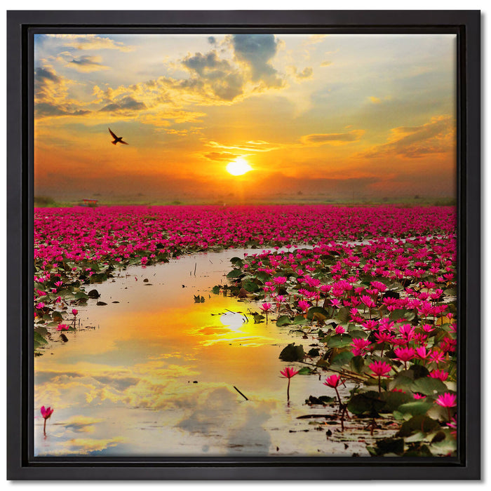 Lotusblüten am See auf Leinwandbild Quadratisch gerahmt Größe 40x40
