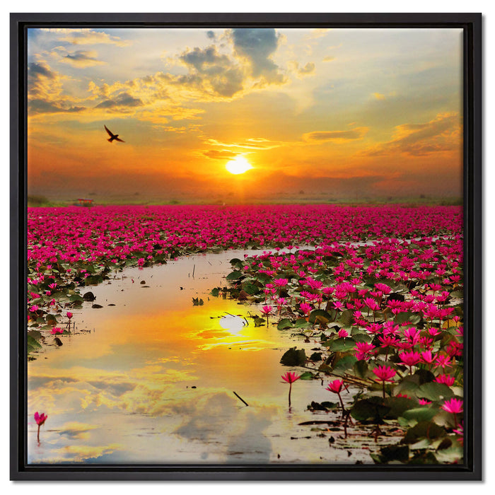 Lotusblüten am See auf Leinwandbild Quadratisch gerahmt Größe 60x60