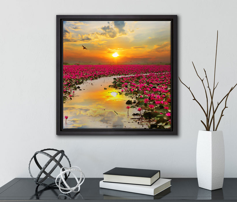Lotusblüten am See  auf Leinwandbild Quadratisch gerahmt mit Kirschblüten