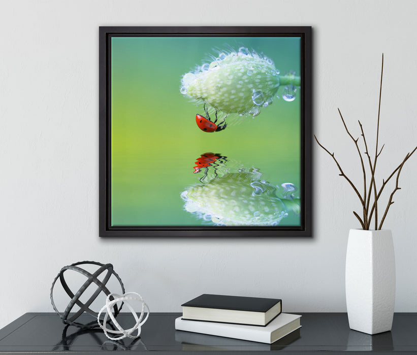 Marienkäfer Mohnblume  auf Leinwandbild Quadratisch gerahmt mit Kirschblüten