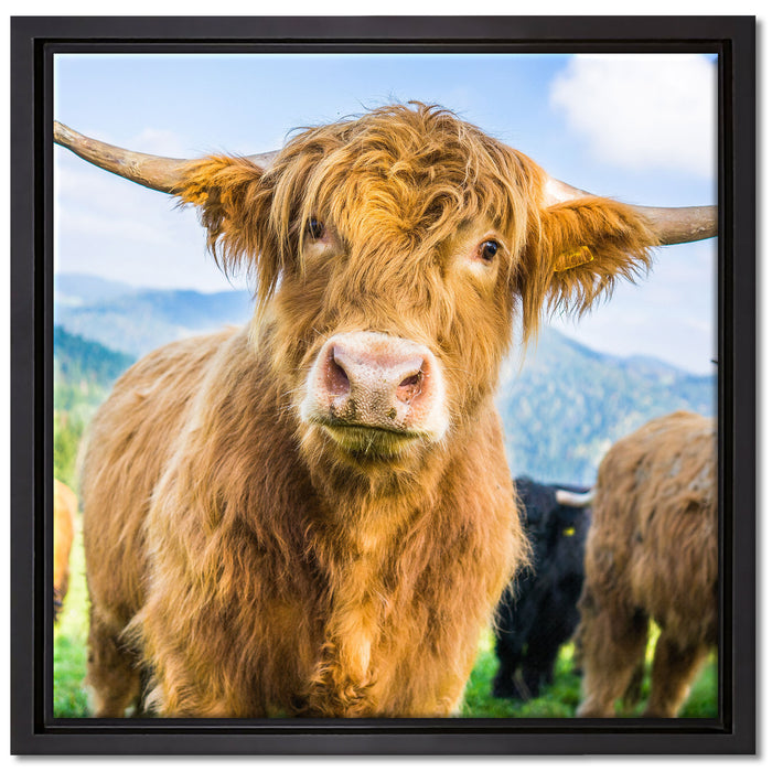 Blick einer Kuh an der Weide auf Leinwandbild Quadratisch gerahmt Größe 40x40