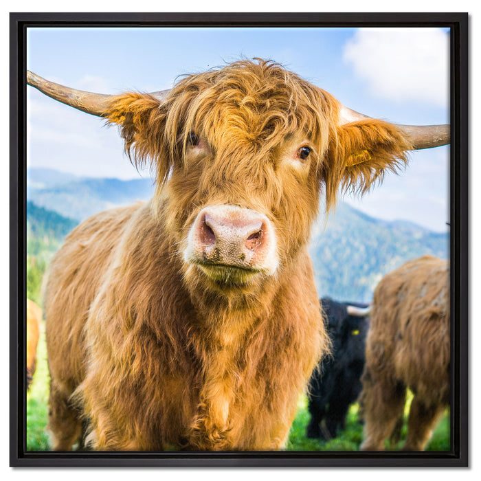 Blick einer Kuh an der Weide auf Leinwandbild Quadratisch gerahmt Größe 60x60