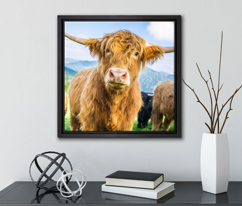 Blick einer Kuh an der Weide  auf Leinwandbild Quadratisch gerahmt mit Kirschblüten