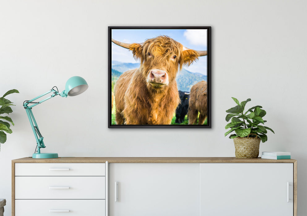 Blick einer Kuh an der Weide auf Leinwandbild gerahmt Quadratisch verschiedene Größen im Wohnzimmer