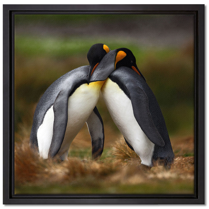 Pinguine in der Antarktis auf Leinwandbild Quadratisch gerahmt Größe 40x40