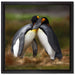 Pinguine in der Antarktis auf Leinwandbild Quadratisch gerahmt Größe 40x40